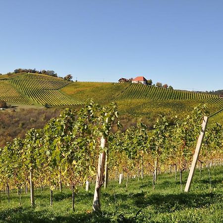 Weingut Koegl Bed and Breakfast Ratsch an der Weinstraße Buitenkant foto
