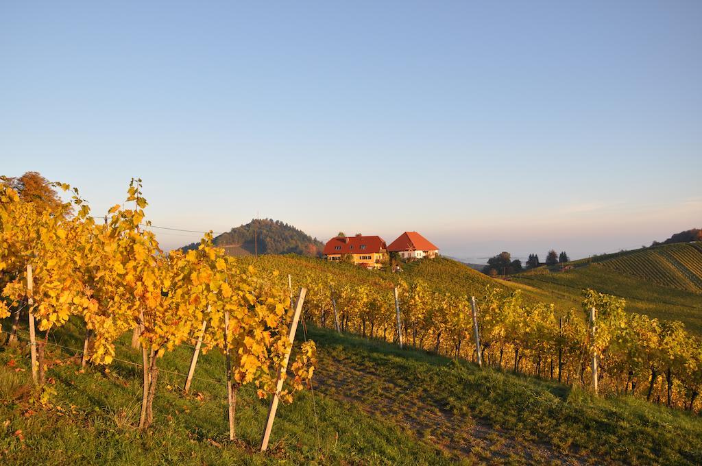 Weingut Koegl Bed and Breakfast Ratsch an der Weinstraße Buitenkant foto