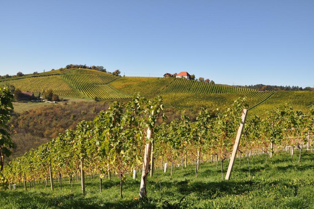 Weingut Koegl Bed and Breakfast Ratsch an der Weinstraße Buitenkant foto